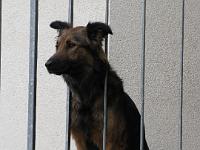 2010_05_10 bella  001